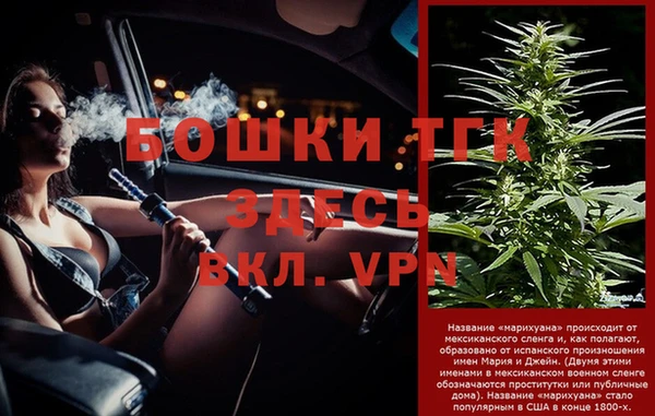 СК Заводоуковск