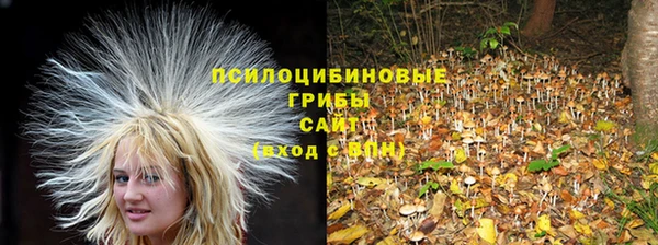 СК Заводоуковск