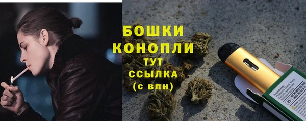 ГАЛЛЮЦИНОГЕННЫЕ ГРИБЫ Заволжск