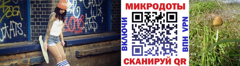 Купить закладки  Калачинск  Псилоцибиновые грибы GOLDEN TEACHER 